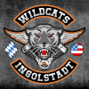 Wildcats Chapter